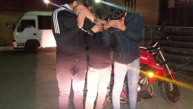 دو برادر دوقلو که با همکاری دوستانشان، با شگردی خاص دست به سرقت های خشن می زدند، از سوی پلیس پایتخت دستگیر شدند.