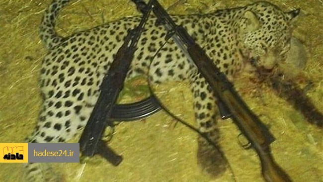جانشین فرمانده انتظامی استان مازندران از شناسایی و دستگیری 2 شکارچی غیرمجاز 2 قلاده پلنگ  در شهرستان  بهشهر خبر داد.