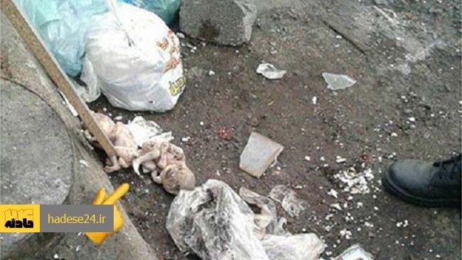 اجساد دو جنین دختر در حاشیه بلوار لاکان شهرستان رشت در میان زباله‌ها پیدا شد.