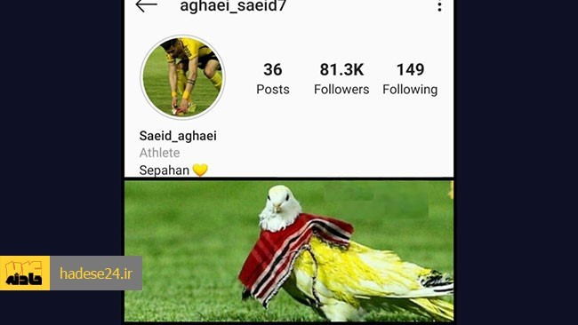 رئیس کمیته انضباطی فدراسیون فوتبال تایید کرد که سعید آقایی با شکایت پرسپولیس به علت انتشار عکسی از یک کبوتر در فضای مجازی محروم شده است.