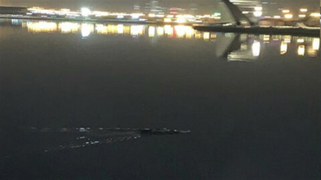 رئیس اداره محیط زیست شهر تهران با اشاره به وجود تمساح در حاشیه دریاچه چیتگر، گفت: در پی موضوع وجود یک تمساح در دریاچه چیتگر تهران، این موضوع توسط محیط زیست بررسی شد که در نهایت مورد تأیید قرار نگرفت.