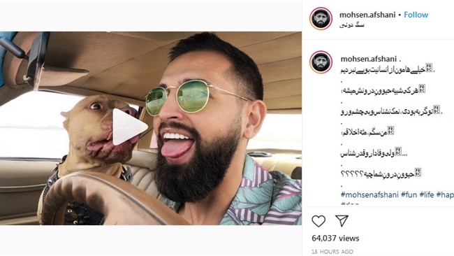 در پی انتشار ویدئویی از محسن افشانی و اقدام زننده او حین رانندگی، کاربران فضای مجازی، واکنش‌های منتقدانه خود را در توییتر به اشتراک گذاشتند.
