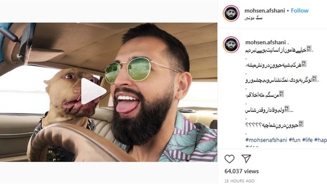 در پی انتشار ویدئویی از محسن افشانی و اقدام زننده او حین رانندگی، کاربران فضای مجازی، واکنش‌های منتقدانه خود را در توییتر به اشتراک گذاشتند.