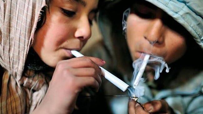معاون اجتماعی اداره کل بهزیستی خراسان شمالی گفت: ۹۰ درصد از کودکان معتاد در این استان از طریق والدین معتاد شده اند.