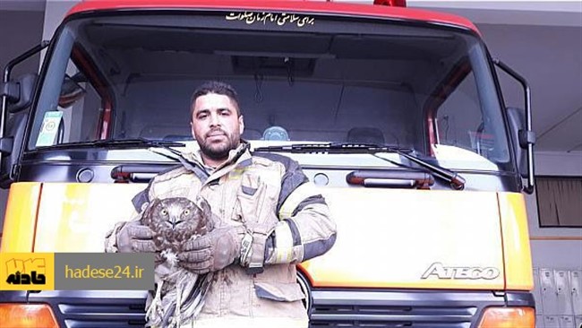 آتش‌نشانان تهرانی موفق به صید یک بهله جغد زیبا در سعادت‌آباد شدند.