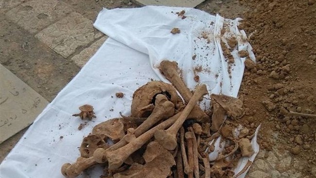 درحالی‌که به‌نظر می‌رسید استخوان‌های کشف شده در میان لباسی خون‌آلود متعلق به یک نوزاد است اما پزشکی قانونی اعلام کرد که همه آنها استخوان و غضروف‌های ماهی بوده است.