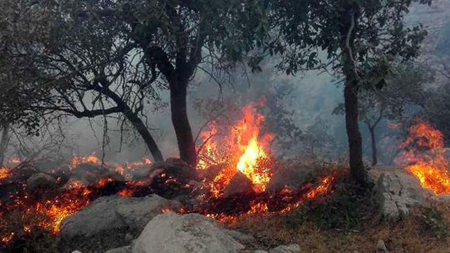 رئیس اداره حفاظت محیط زیست اندیکا از ادامه آتش‌سوزی در پوشش گیاهی کوه دلا در منطقه حفاظت‌شده شیمبار خبر داد.