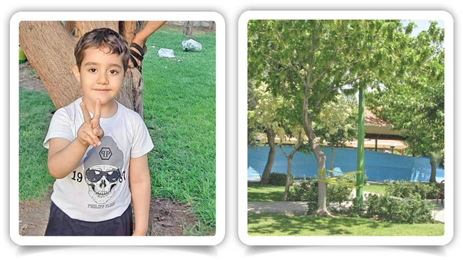 امیرعلی پسربچه 6ساله‌ای که به همراه خانواده عمویش برای بازی به پارکی در جنوب تهران رفته بود، در حادثه‌ای تلخ دچار برق‌گرفتگی شد و جانش را از دست داد.