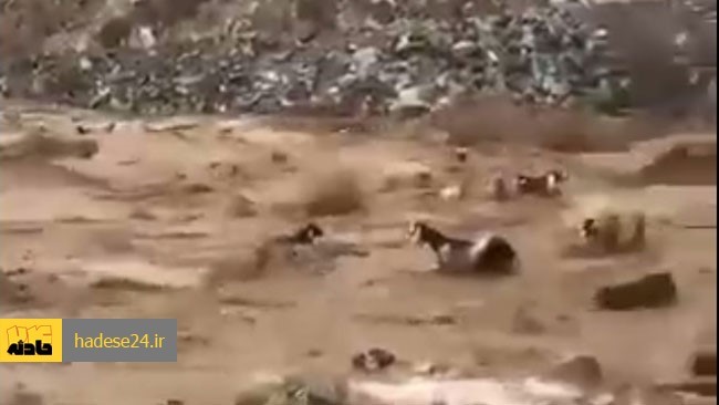 فرمانده انتظامی شهرستان داراب گفت: روز گذشته مردی ۶۷ ساله که برای چرای گوسفندانش به صحرا رفته بود در پی شدت بارش باران قربانی سیلاب شد.