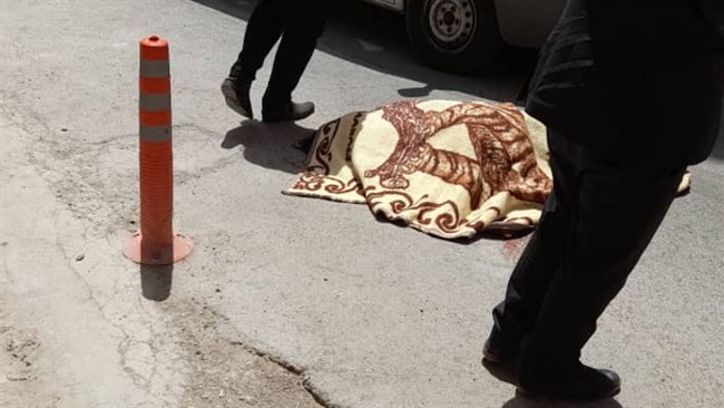 فرمانده انتظامی شهرستان همدان گفت: صبح امروز جسد مرد میانسالی که در ورودی شهر با شلیک گلوله کشته شده بود، کشف شد.