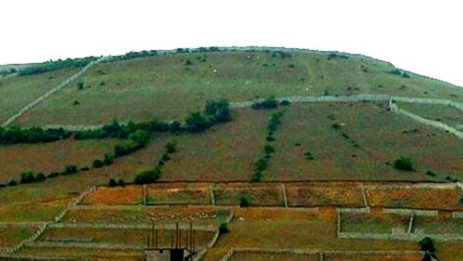 فرمانده انتظامی شهرستان مهر از رفع تصرف ۱۰ هزار مترمربع زمین های متعلق به اداره اوقاف به ارزش ۱۰ میلیارد ریال خبر داد.