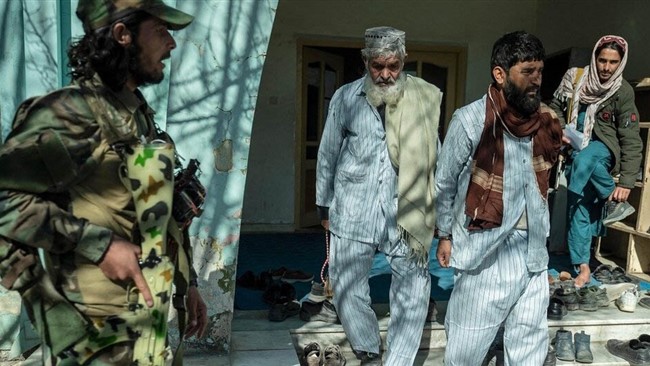 اولین مورد اعدام در ملاءعام از سوی طالبان در شهر فراه انجام شد و حالا یک قاضی ۳۴ ساله طالبان می‌گوید که از زمان بازگشت به قدرت در اوت ۲۰۲۱ حدود ده‌ها حکم اعدام در ولایت غزنی صادر شده است.