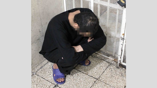 دستگیری عامل آزار و اذیت ۷ سگ در بندر انزلی