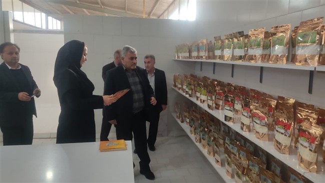 رئیس سازمان جهاد کشاورزی آذربایجان غربی بر تسریع در روند تولید و حمایت از فعالیت‌های بانوان کارآفرین تاکید کرد.