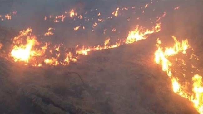 یک کارگر کشاورز در حوالی روستای جمال کر شهرستان ممسنی استان فارس حین مهار آتش سوزی بر اثرسقوط از ارتفاع جان باخت.