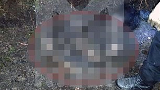 2 مرد جنایتکار زن سالخورده ای را ربوده و پس از سرقت النگوهایش او را به قتل رسانده و جنازه اش را در پردیس به آتش کشیدند.
