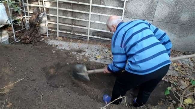 بهلول مرد مسنی که دختر ۱۶ ساله ای به نام شیما صباگردی را به قتل رسانده و جسدش را در حیاط خانه اش دفن کرده بود عفو و از زندان آزاد شد.