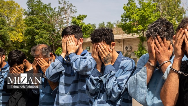 فرمانده انتظامی ری گفت: «عامل تیراندازی و قدرت‌نمایی در بوستان  سه دختران ری دستگیر شده است.»