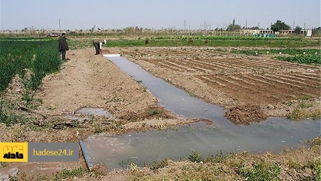 منابع کارگری از مرگ یک کارگر کشاورز در مزارع خوشاب استان خراسان رضوی به علت گیر کردن پوشش گردن وی در دستگاه میل گاردان تراکتور خبر دادند.