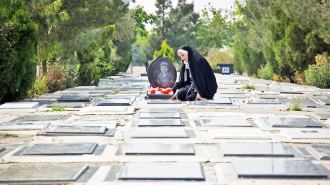 عکسی متفاوت از یک سنگ قبر که برای یک کبوتر است مورد توجه کاربران فضای مجازی قرار گرفته است.