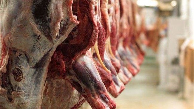دبیر انجمن صنعت بسته بندی گوشت نرخ کنونی هرکیلو گوشت گوساله منجمد را ۲۸۵ هزارتومان، گوشت مخلوط گوسفندی گرم ۳۱۶ هزارتومان، گوشت گوساله گرم شامل ران و سردست و راسته ۲۹۹ هزارتومان و چرخ کرده ۲۷۵ هزارتومان اعلام کرد.