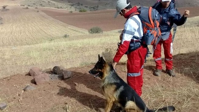 مدیرعامل جمعیت هلال احمر لرستان با اشاره به گم شدن دختربچه دو ساله در روستای «ده سفید» الیگودرز، گفت: عملیات جستجو از روز گذشته تا کنون برای یافتن این کودک ادامه دارد.