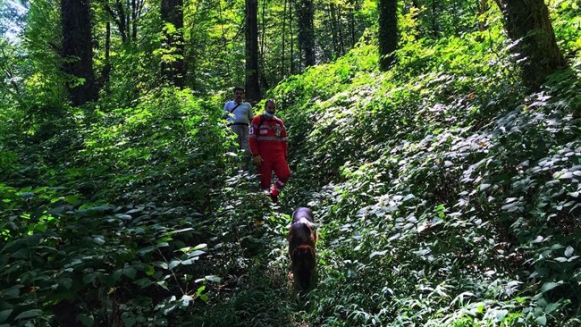 مدیرعامل جمعیت هلال احمر مازندران از عملیات جست‌وجو و نجات یافتن خانواده پنج نفره گمشده در جنگل‌های یاق‌کوه و کیاسر در منطقه سوادکوه شمالی مازندران خبر داد.