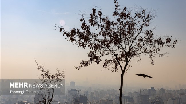 هواشناسی استان تهران پیش‌بینی کرد که به دلیل افزایش غلظت آلاینده‌ها و کاهش کیفیت هوا،‌ تا پایان هفته جاری هوای پایتخت همراه با آلودگی است.