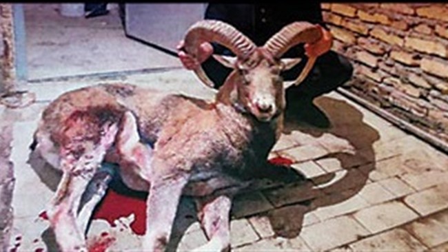 پرونده پرسروصدای یوتیوبر ۳۷ساله‌ای که ماه‌ها در شبکه‌های اجتماعی جنجال به پا کرده بود، با صدور حکمی سنگین وارد مرحله‌ای تازه شد.