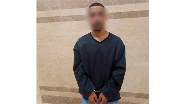 پسریک تاجر ثروتمند که از والدینش به‌خاطر طلاق‌شان کینه به دل گرفته بود برای انتقام از آنها، تبدیل به یک سارق شد.
