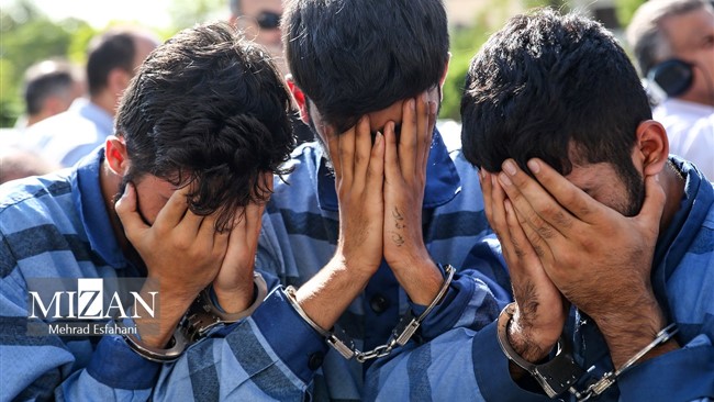 سرکلانتر چهارم پلیس پیشگیری تهران از دستگیری ۷ سارق سابقه‌دار در عملیات‌های جداگانه کلانتری ۱۲۷ نارمک خبر داد.