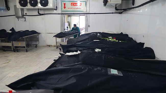 به طور کلی روال کار پزشکی قانونی پیش از این نیز در حوادث و بحران ها بر این بوده که به منظور تسکین آلام خانواده ها خدمات خود را به صورت رایگان به فوت شده ها ارایه دهد.