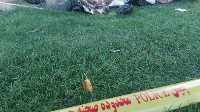 قصه یک تماس ساده است که راز قتل چوپان را لو می دهد