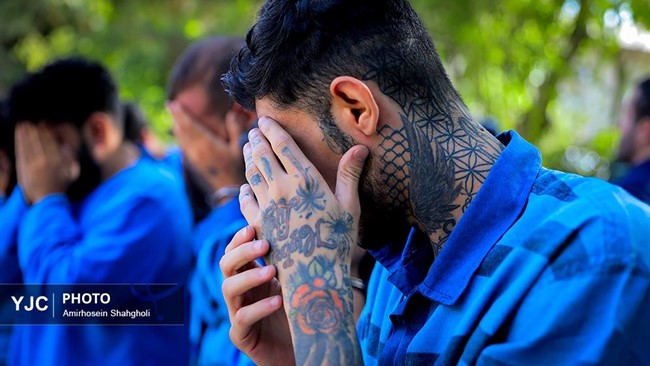 اعضای باند 18ساله‌ها که رویای یک‌شبه ثروتمند‌شدن و زندگی لوکس را داشتند، نقشه سرقت از خانه‌های اعیانی را کشیدند، غافل از اینکه بوی عطرشان، اسرار سرقت‌های سریالی آنها را فاش خواهد کرد.