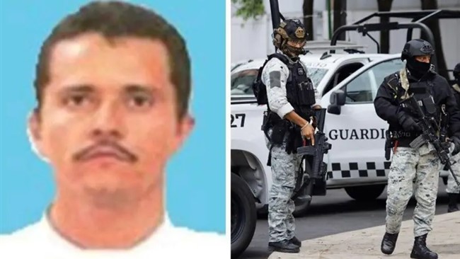 در تاریخ جرایم سازمان‌یافته مکزیک تنها تعداد اندکی نام وجود دارند که تاثیری ماندگار بر جای گذاشته‌ باشند. نمیسیو اوسگرا سروانتس که بیشتر با نام «ال منچو» شناخته می‌شد، یکی از آنهاست.