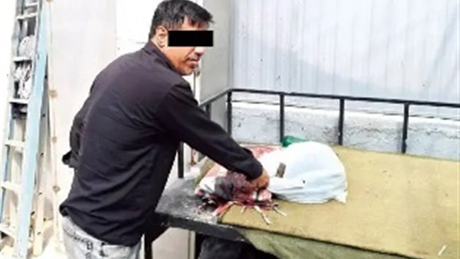 مردی همسر خود و شریک تجاری او را در حالی هدف ضربات هولناک چکش بدگمانی قرار داد که هر دو نفر آنان روی تخت های درون باغ تالار به خواب رفته بودند.