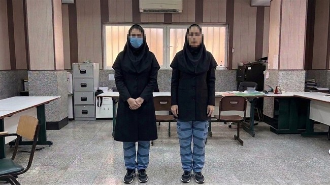 دو دخترعمو به بهانه تدریس خصوصی زبان انگلیسی وارد خانه طعمه‌های خود شده و پس از بیهوش کردن آنها، نقشه سرقت را عملی می‌کردند.