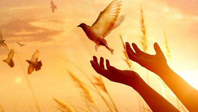 رئیس کل دادگستری سمنان گفت: اولیای دم، 2 محکوم قصاص را بخشیدند.