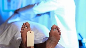 برادرکشی آتشین در مشهد / قاتل را شناسایی کنید+ عکس