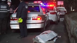 ترس از سگ بلای جان عابر پیاده شد